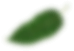 leaf three