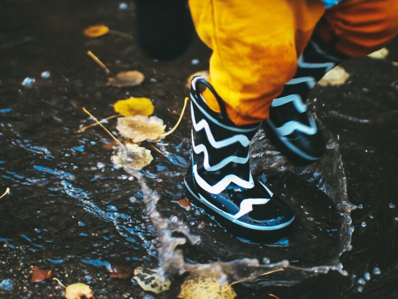 Het regent pijpenstelen, wat nu?