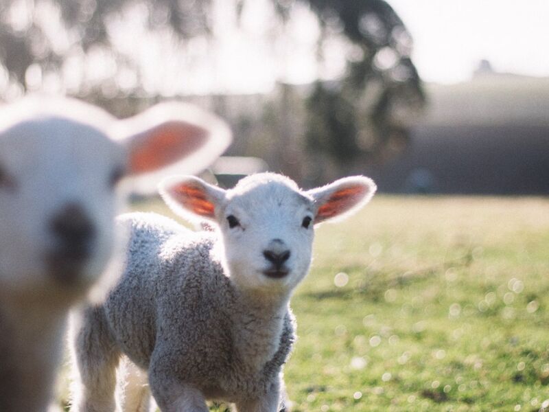 De leukste uitjes in Ermelo