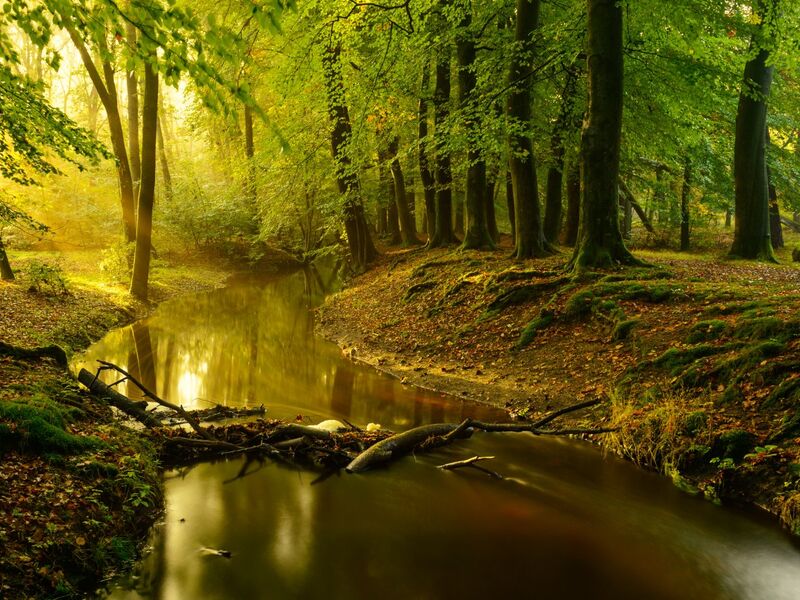 De mooiste fietsroutes van Ermelo