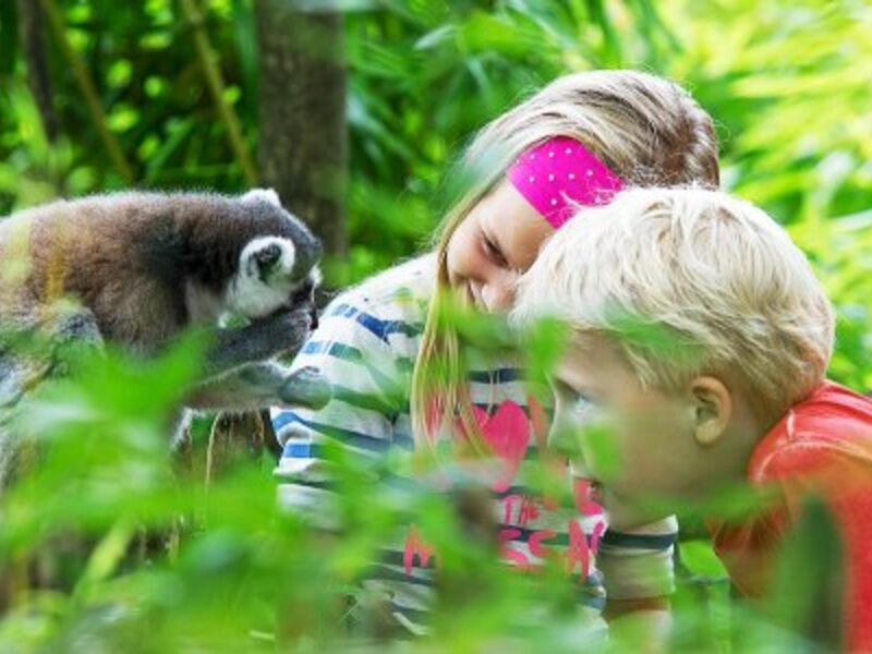 De leukste pretparken in de omgeving